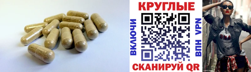 гидра ССЫЛКА  Печоры  Ecstasy Дубай 