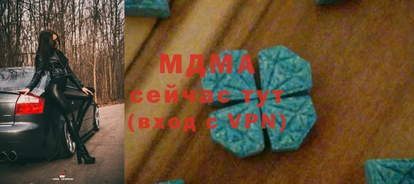 ГАЛЛЮЦИНОГЕННЫЕ ГРИБЫ Аркадак